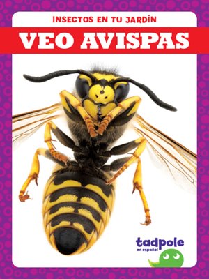 cover image of Veo avispas (I See Wasps)